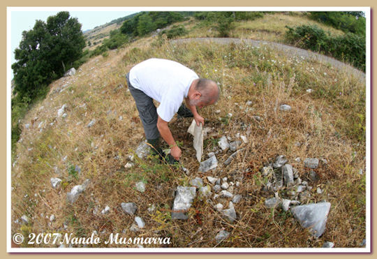 Cercando fossili per Erminio di Carlo