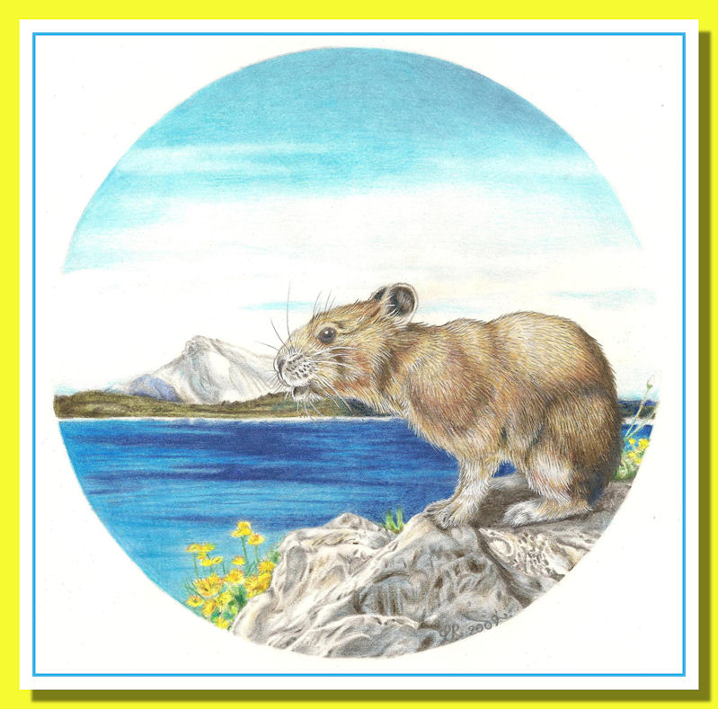 Prolagus un coniglio preistorico estinto - Loana Riboli