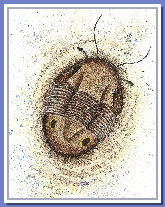 Fabar-01.jpg Ectillaenus giganteus rappresentato da Loana Riboli