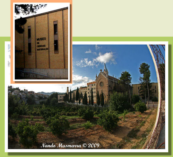 Museo de Ciencias Natural Onda
