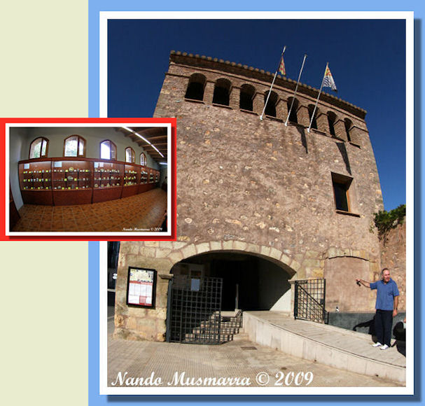 Mulino Paleontologico Onda Museo Paleontologico Onda