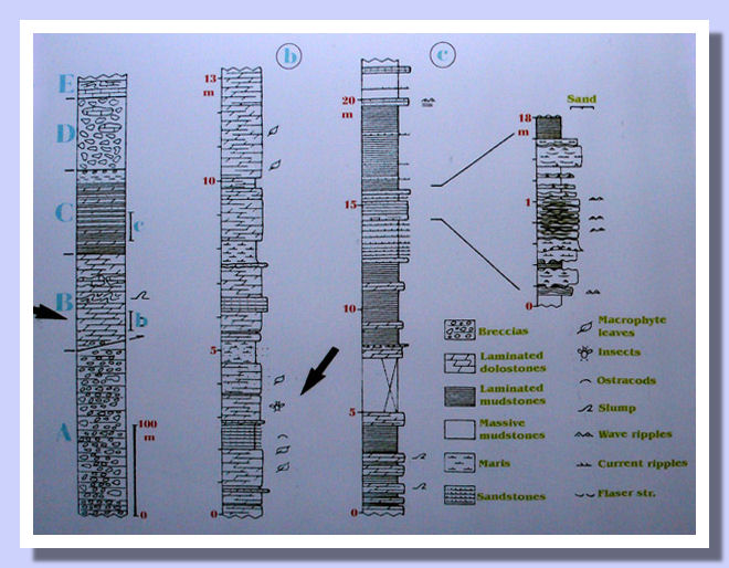 Successione Geologica Ribesalbes Successione Formazione Ribesalbes