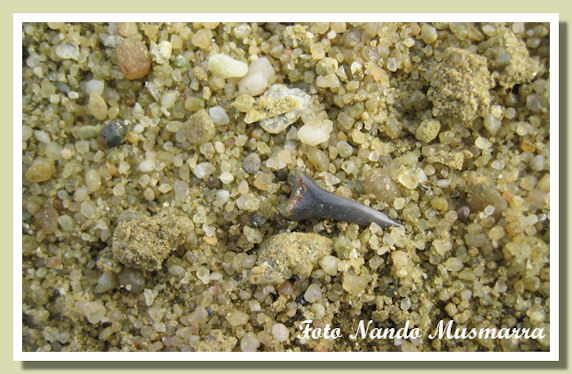 Germania7.jpg Germania7.jpg