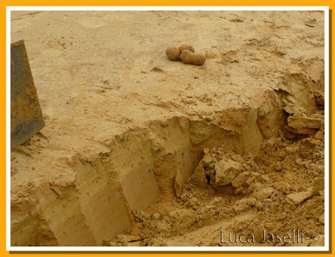 Particolare cava Steinhardt