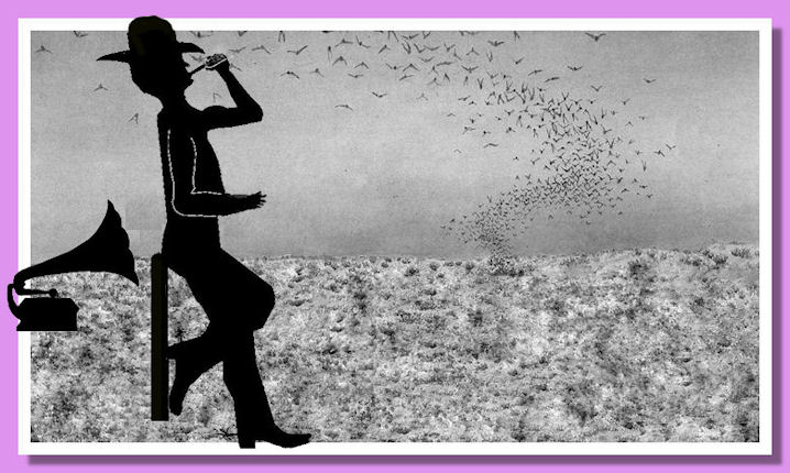 Jim White murcielagos