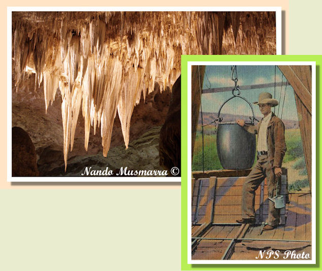 Jim White y el primero ascensor