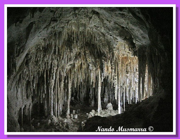 Teatro de la muñeca