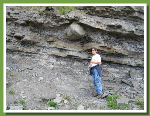 Muja02.jpg Muja02.jpg