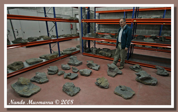 Muja03.jpg Muja03.jpg