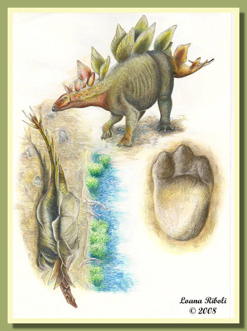 Muja06.jpg Muja06.jpg