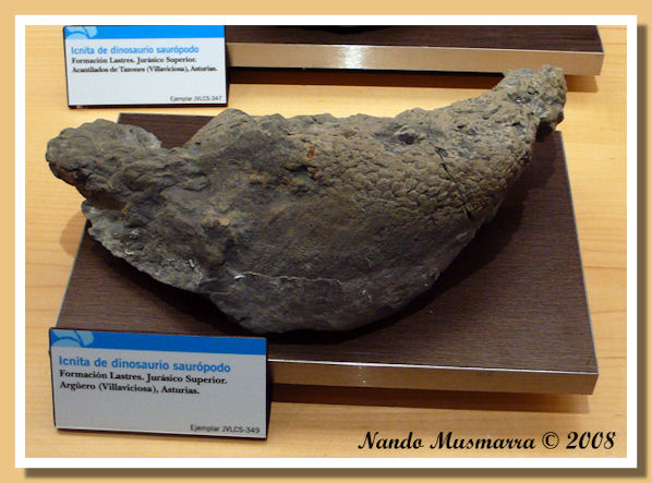 Muja07.jpg Muja07.jpg