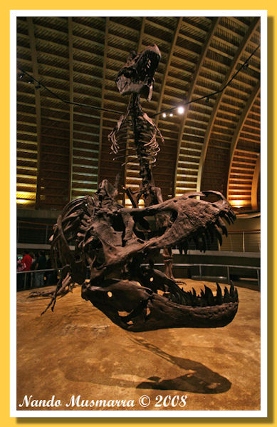 Muja08.jpg Muja08.jpg