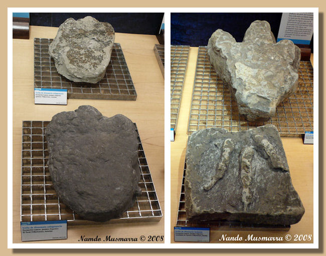 Muja10.jpg Muja10.jpg