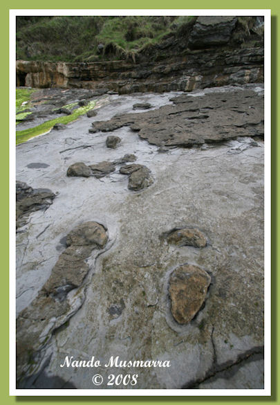 Muja11.jpg Muja11.jpg