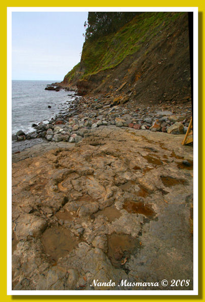 Muja19.jpg Muja19.jpg