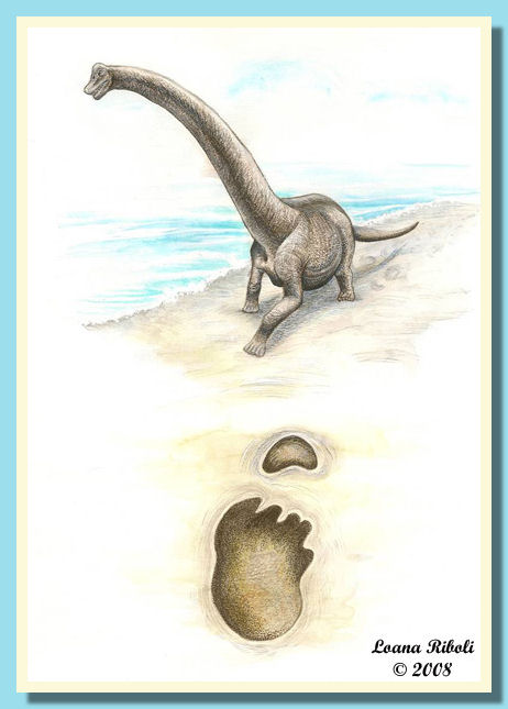 Muja20.jpg Muja20.jpg