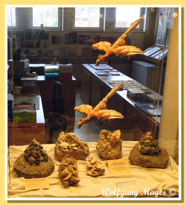 Archaeopteryx sono tra noi