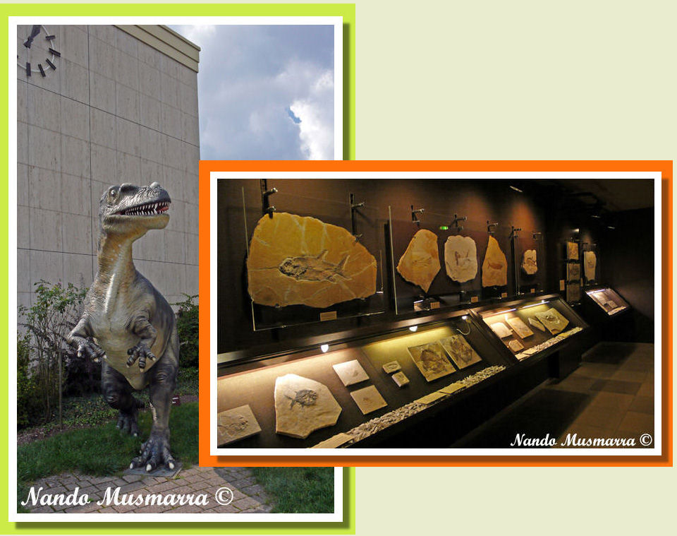 Carlos06a.jpg Fish gallery