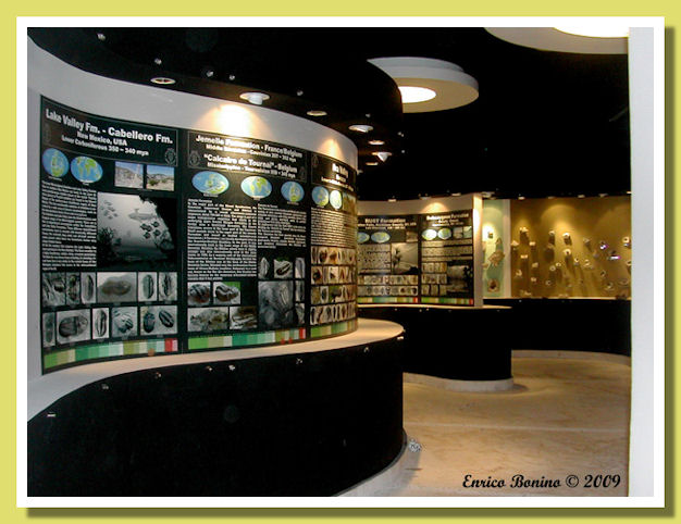 le vetrine del museo di cancun