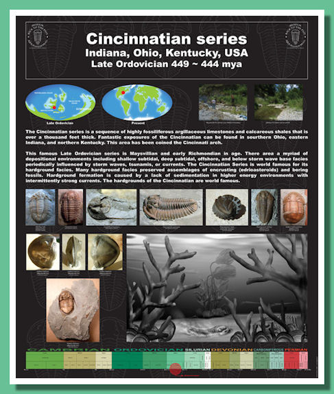 poster della cincinnatian series
