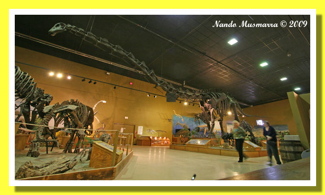 Supersaurus vivianae