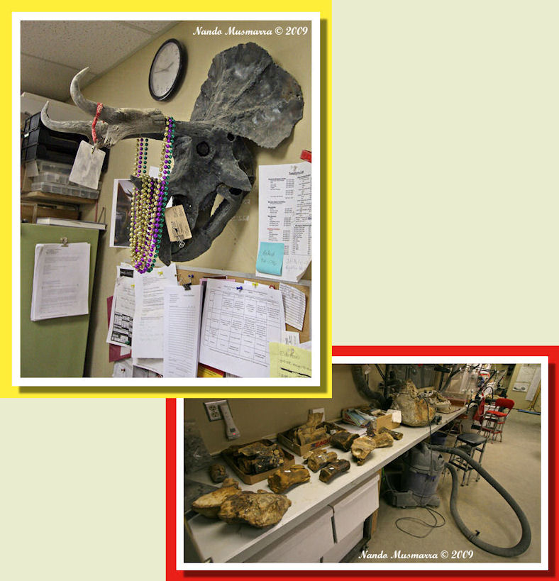 Laboratorio Thermopolis