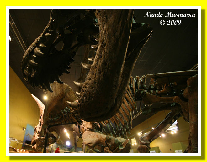 Thermopolis Dinosaur Centre