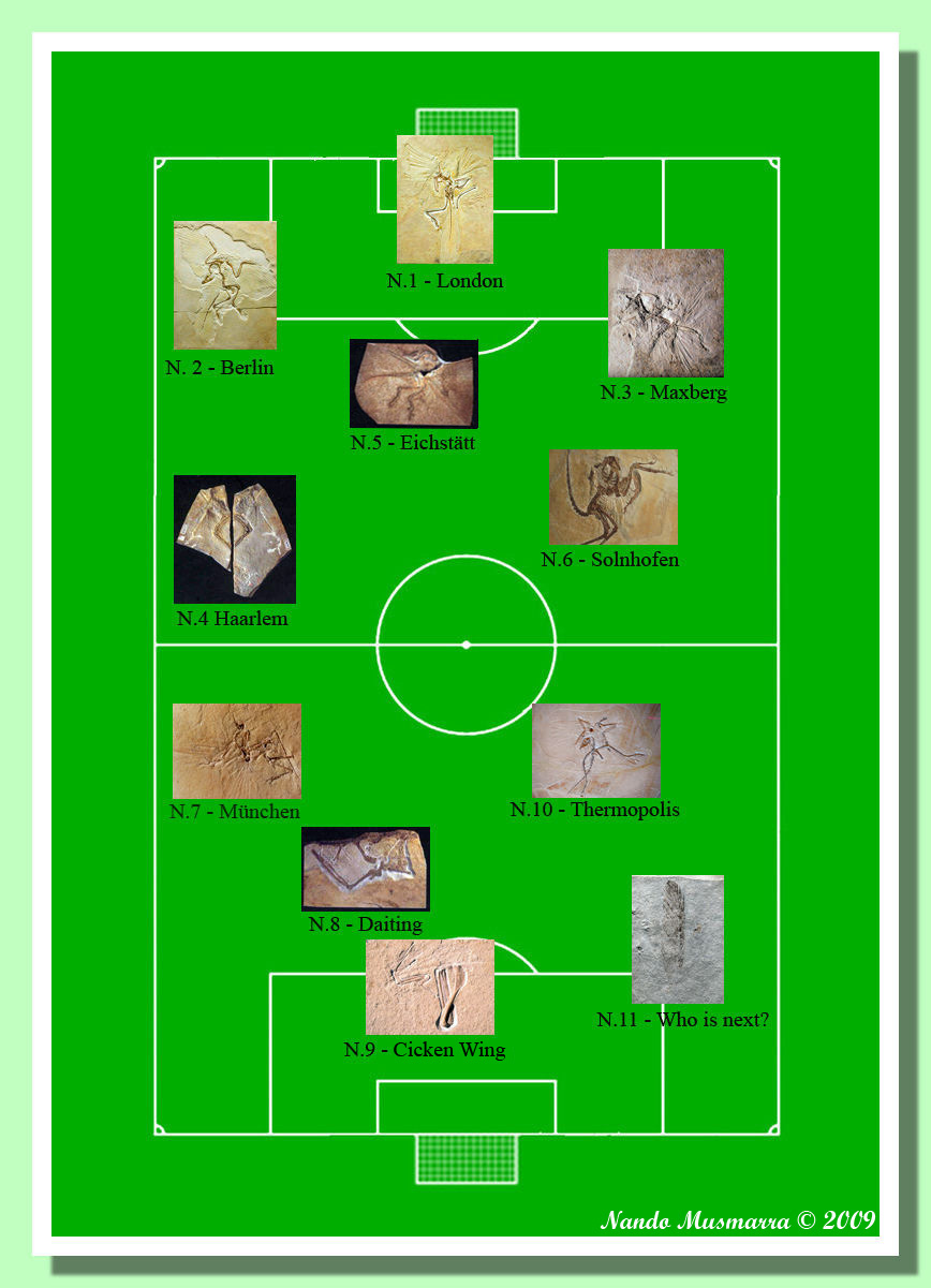 Elenco Archaeopteryx