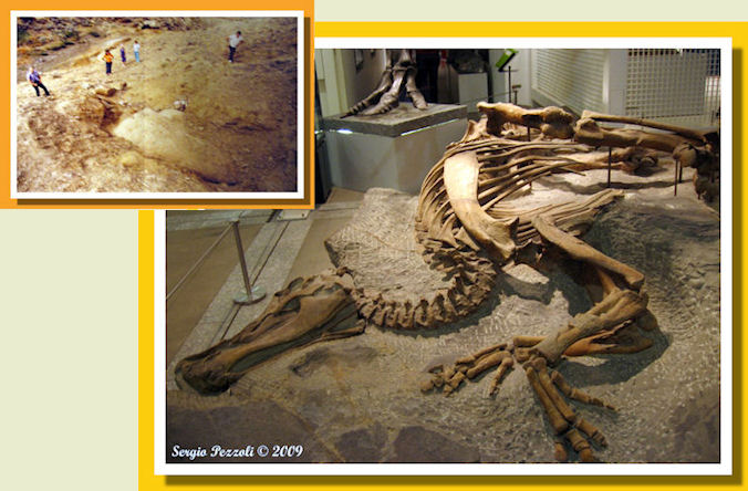 blocco con anatosauro