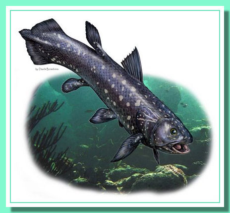 Lati01.jpg Lati01.jpg