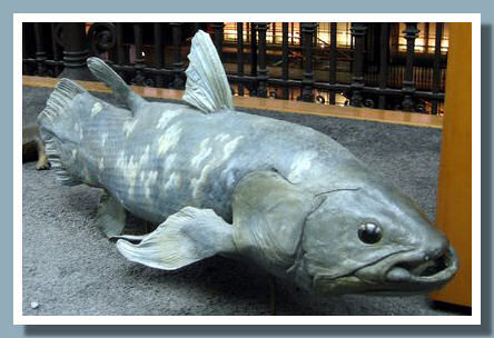 Lati02.jpg Lati02.jpg