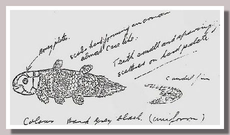 Lati04.jpg Lati04.jpg