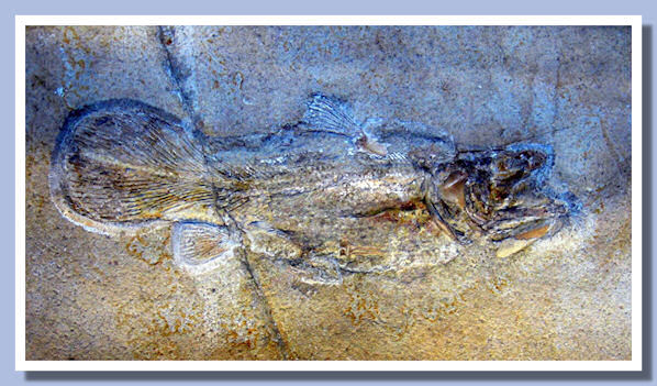 Lati05.jpg Lati05.jpg