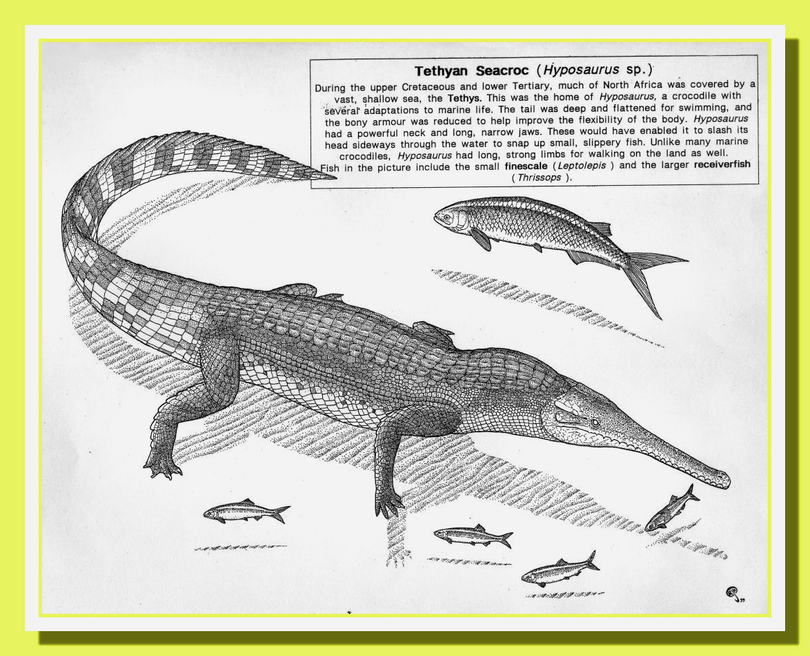 hyposaurus - Russell J. Hawley