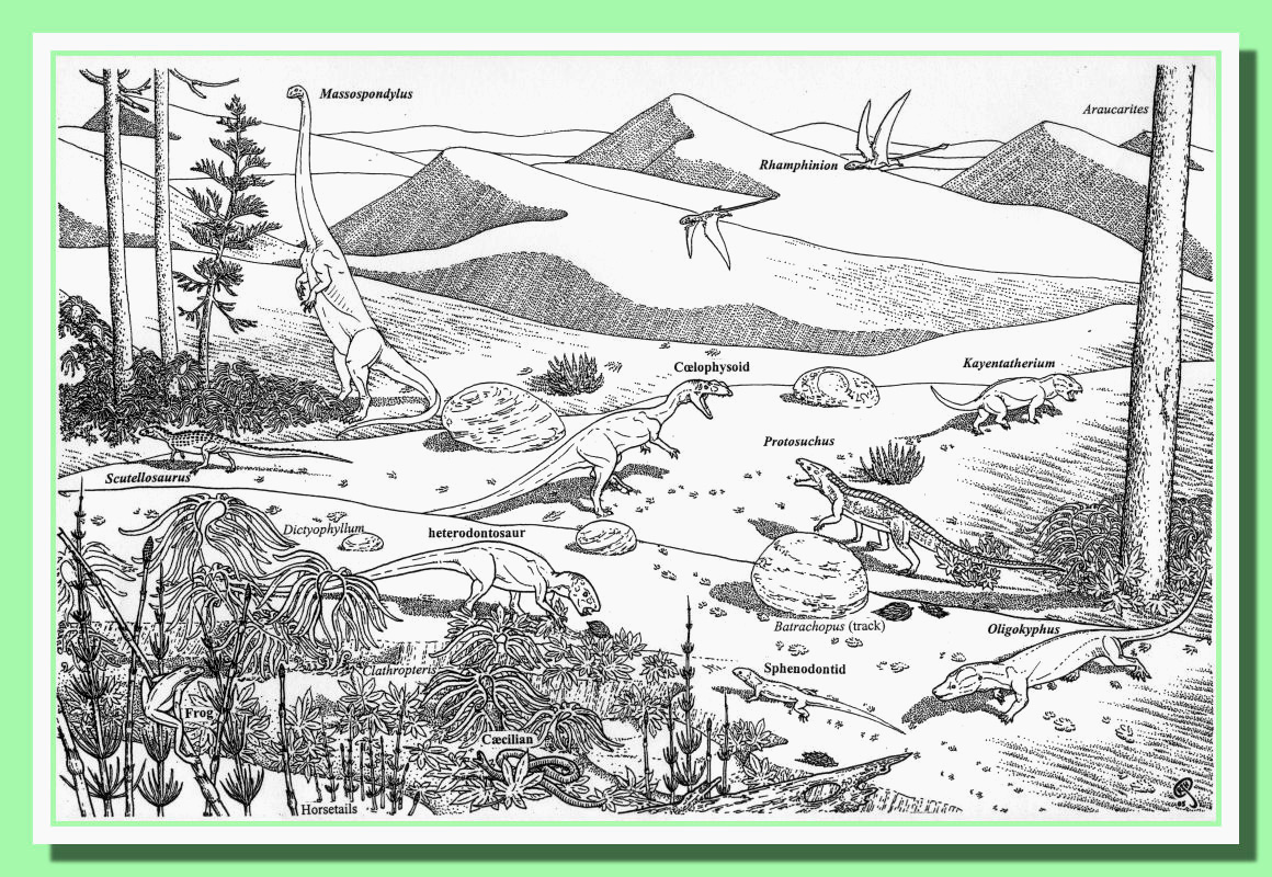 Russell J. Hawley - Kayenta