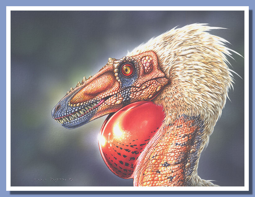 Juvenile Alioramus remotus