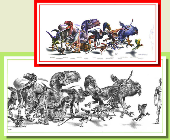 Evolution Fly II & III