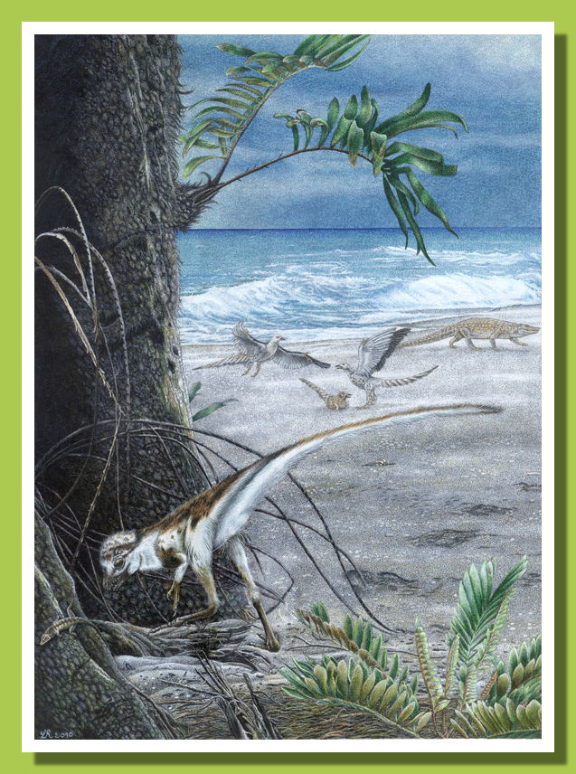 Under the Zamites tree