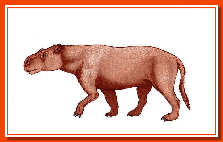adinotherium ovinum