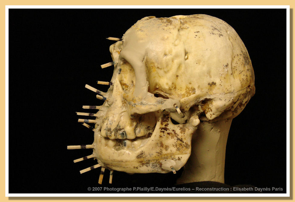 Cranio di Flores