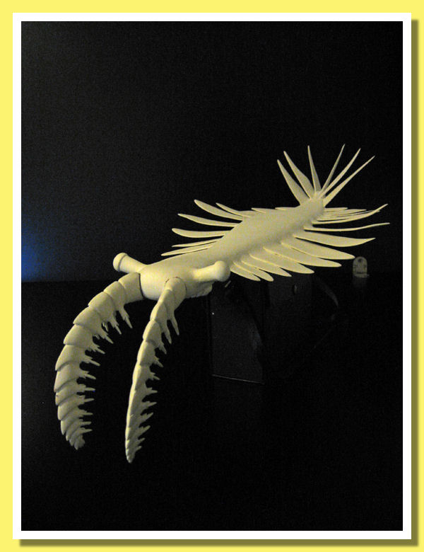 anomalocaris 3D