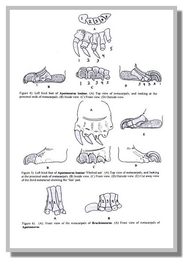 How4.jpg rappresentazione dinosauri