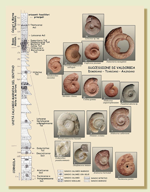 Un Viaggio geologico nelle Montagne Appenniniche