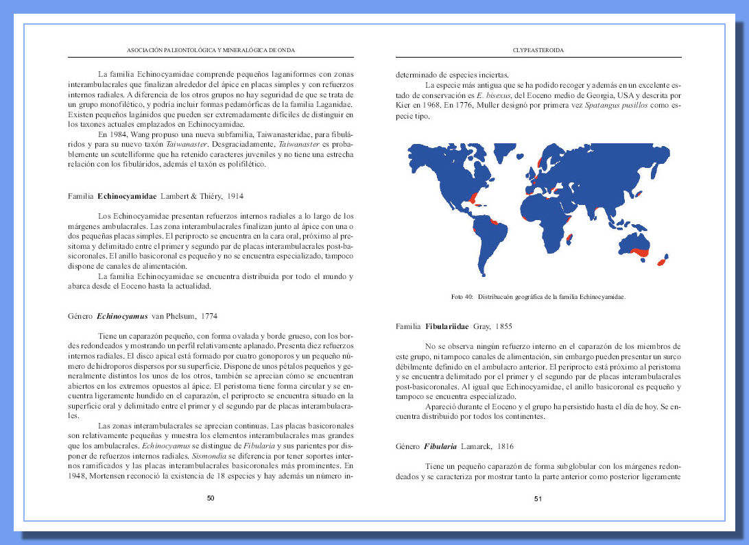 Mapa Clypeaster Mappa Clypeaster