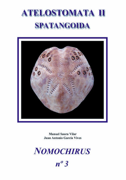 Atelostomata II - Spatangoida - Nomochirus2012