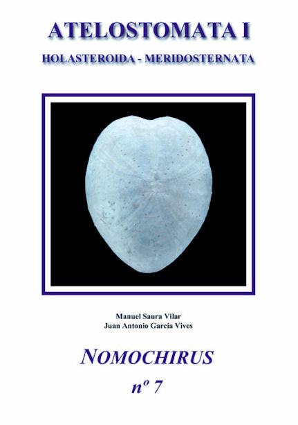 Atelostomata I - Holasteroida - Meridosternata - Nomochirus2016