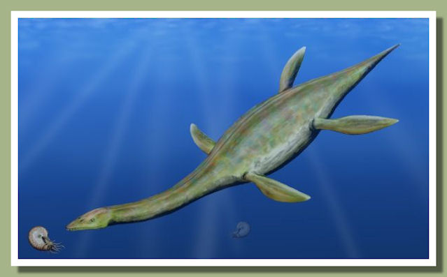 Reconstruction of a plesiosaur by Nobumichi Tamura