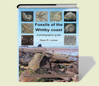 Book: Fossils of the Whitby Coast di Dean Lomax