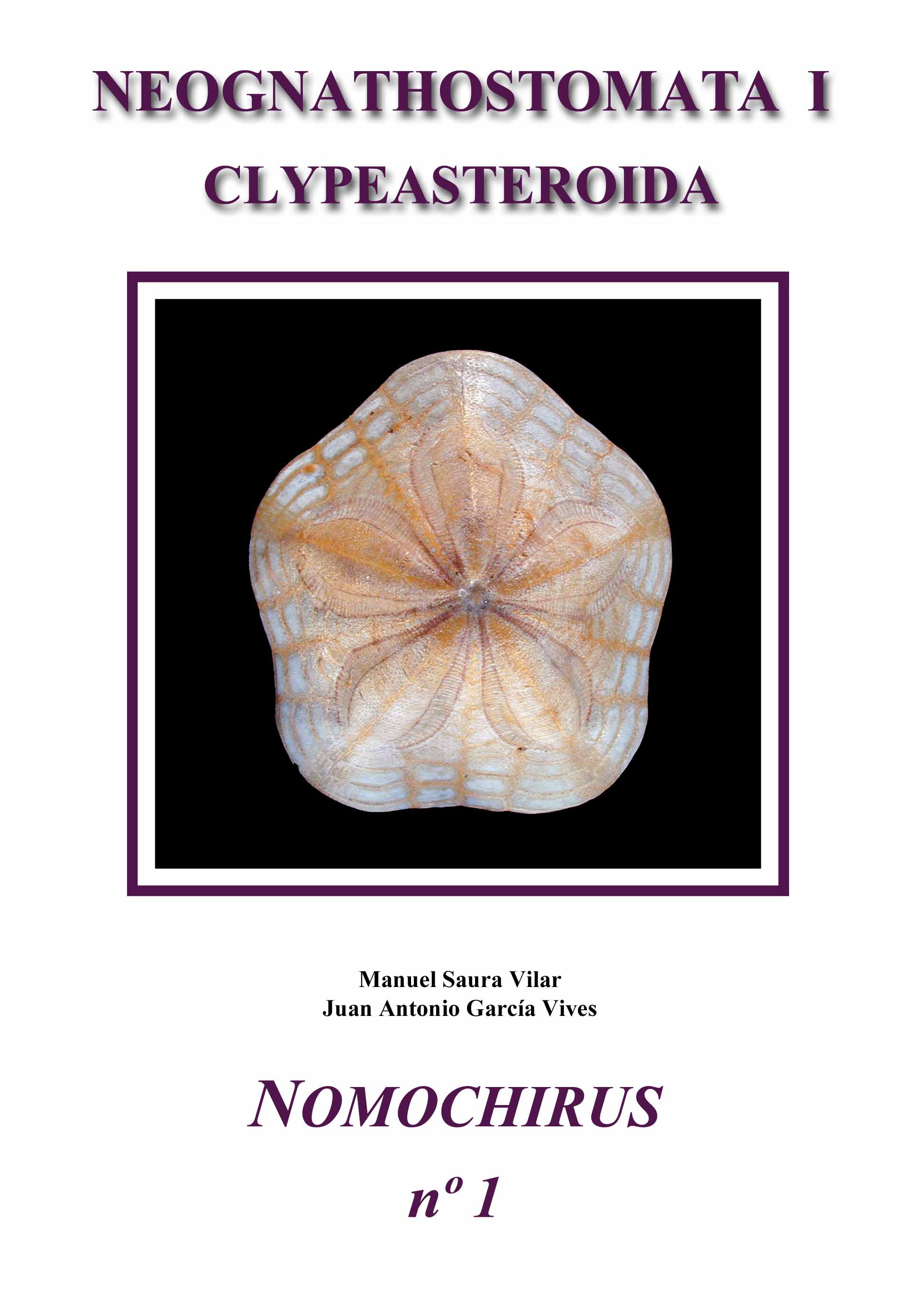 Clypeasteroida-Bis01