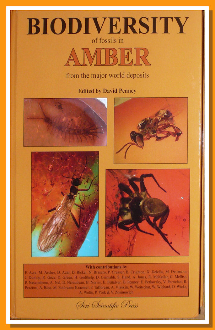 Biodiversity Amber Cover